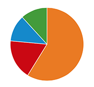 Pie Chart with No Legend